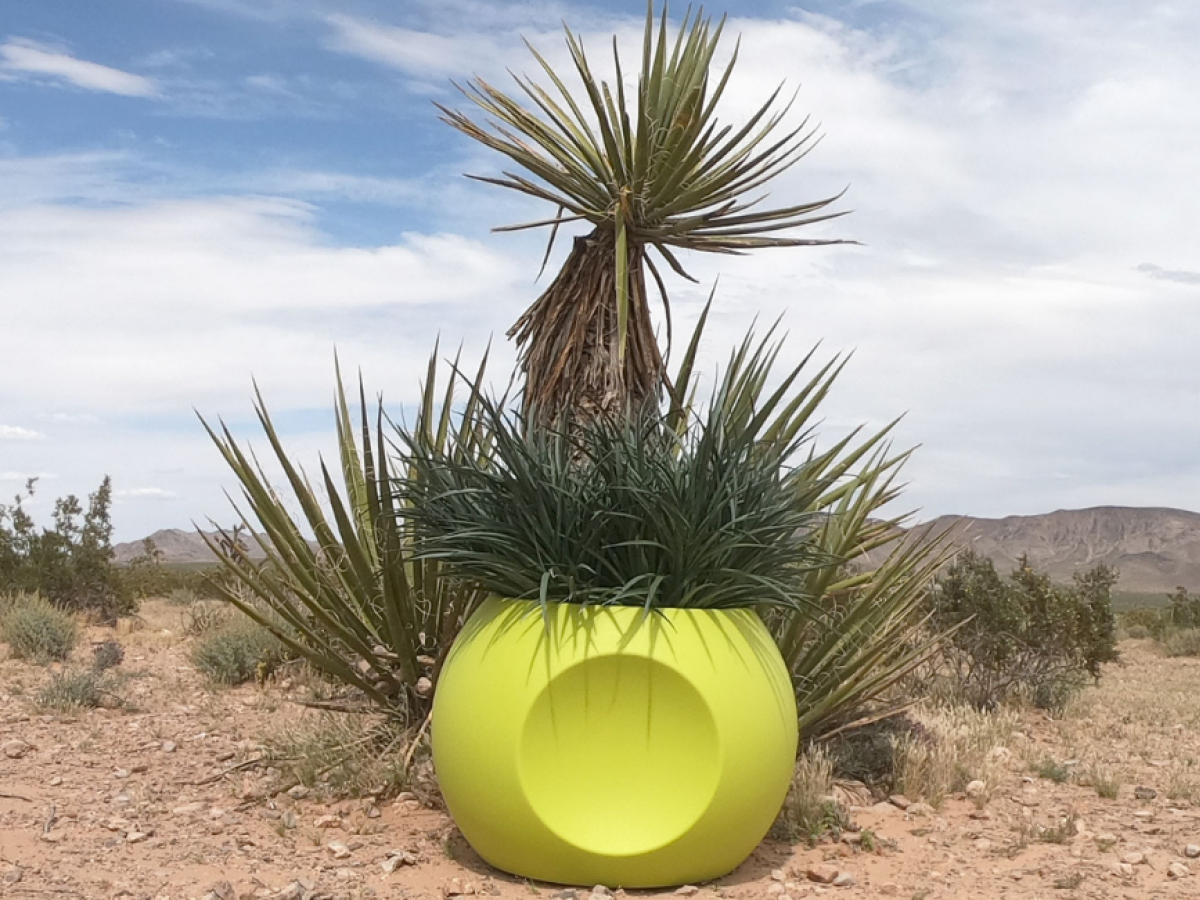 aloe large outdoor planter with built in drainage
