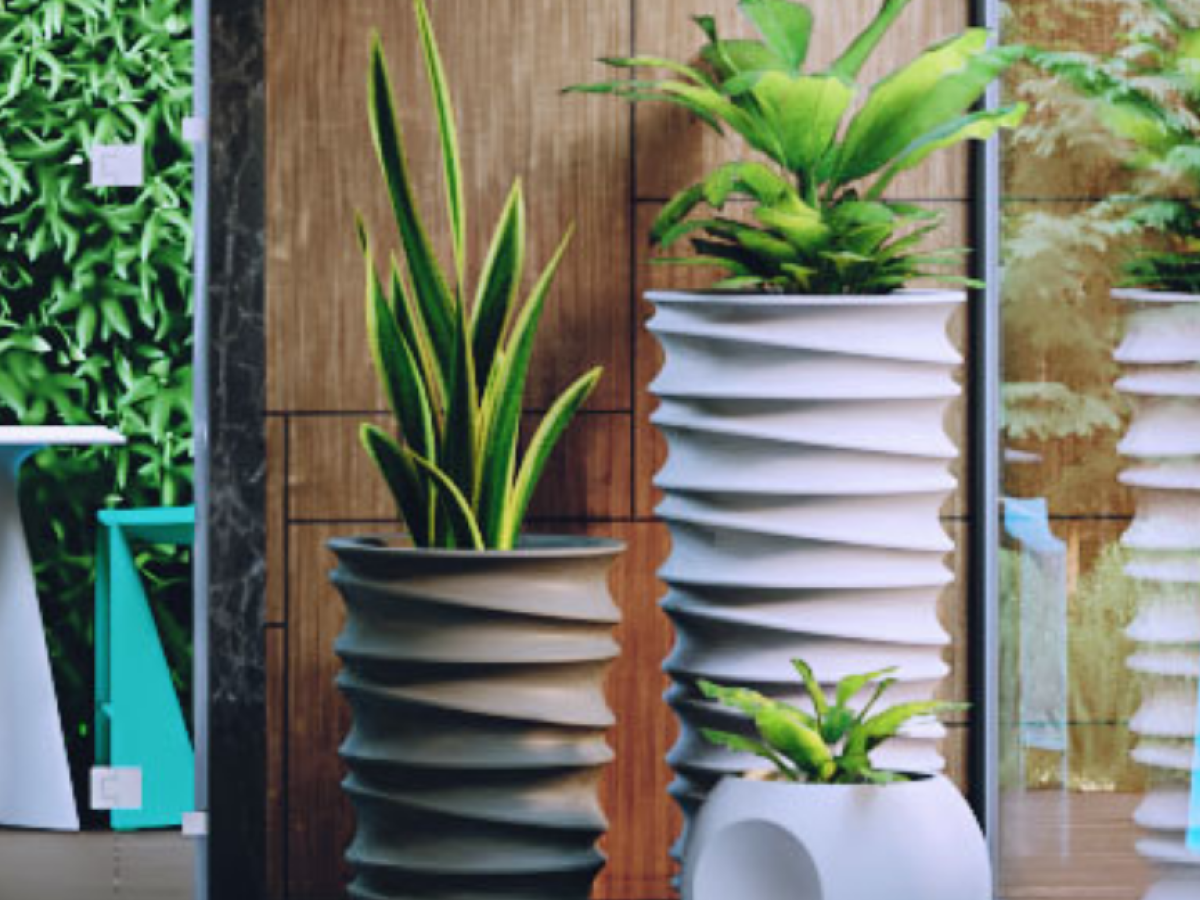 modern planters at the entrance door indoor